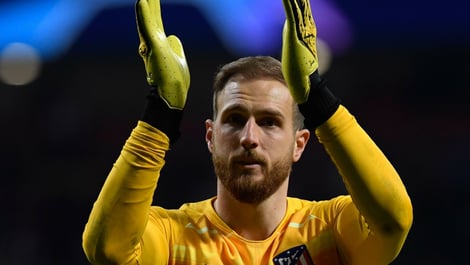 Jan oblak toty