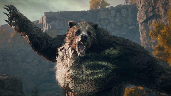 Lesser rune bear
