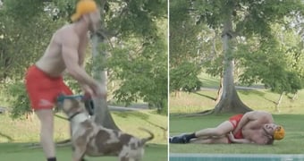 Logan paul dog bite attack