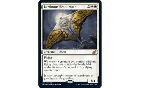 Luminous broodmoth