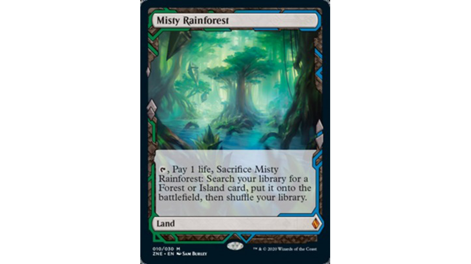 Misty rainforest