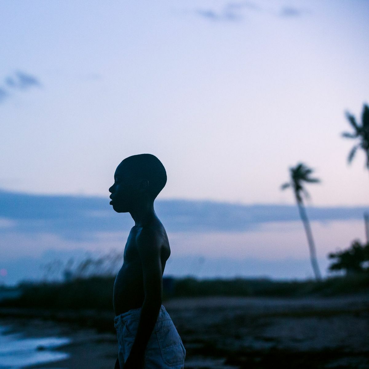 Moonlight