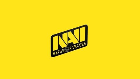 Navi logo