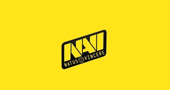 Navi logo