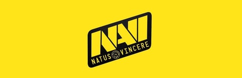 Navi logo