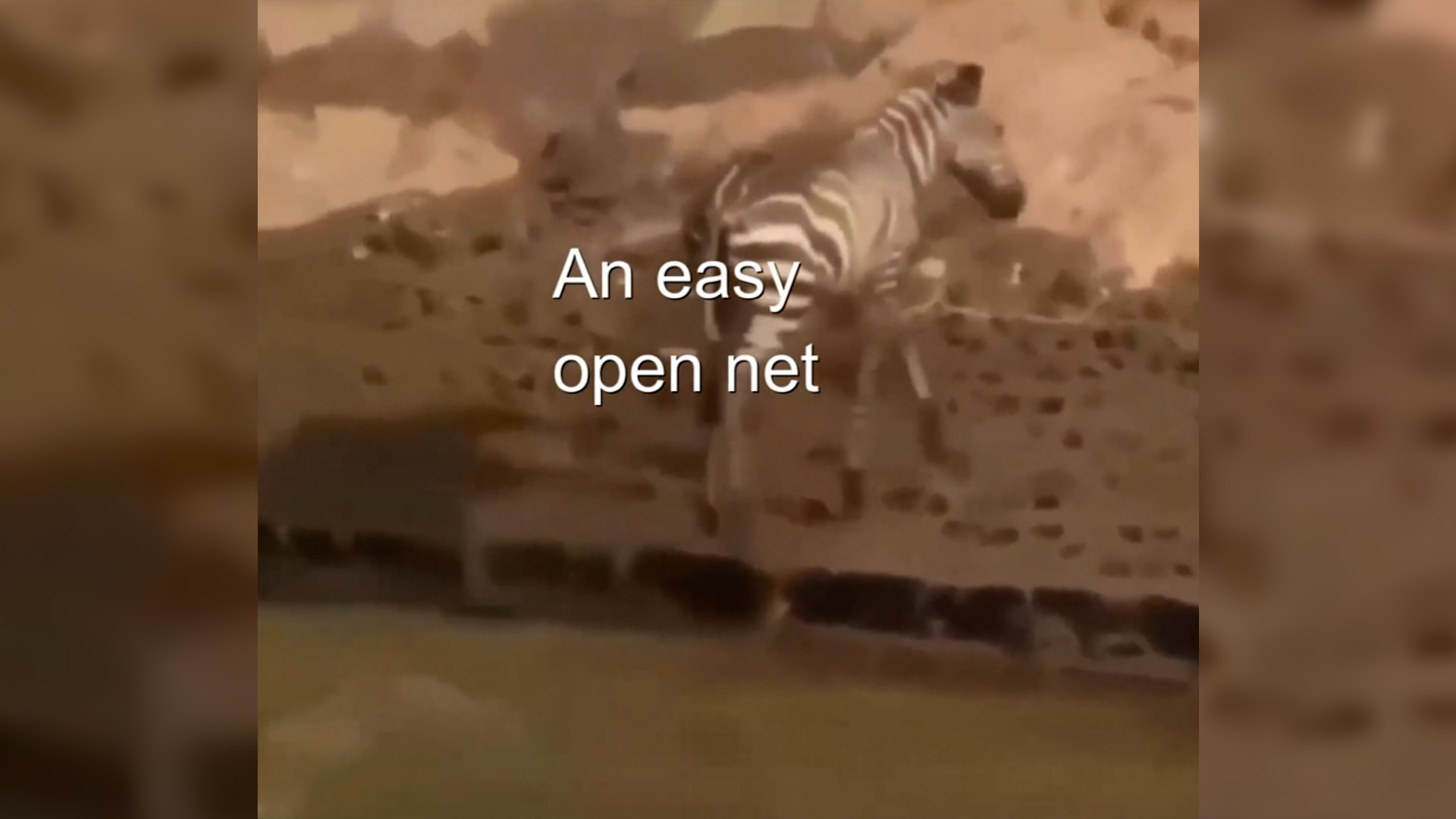 Opennet