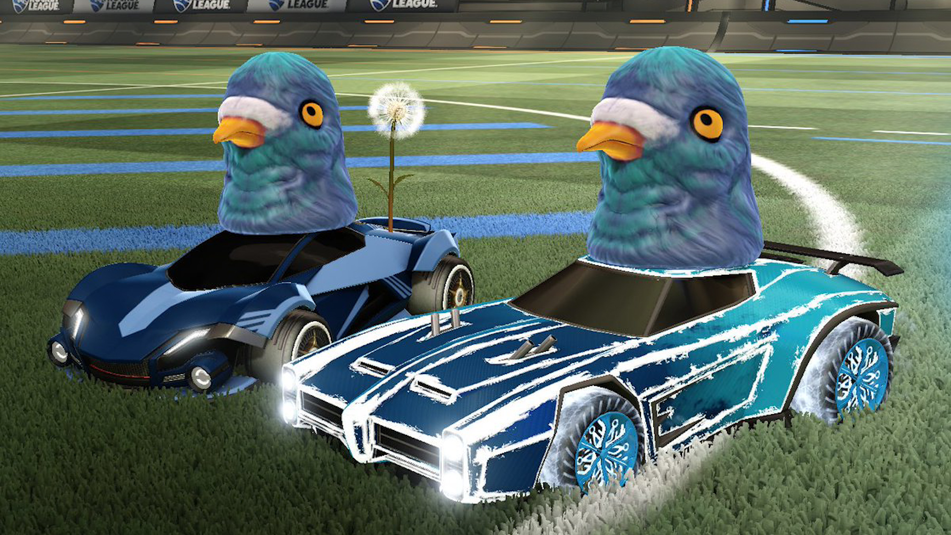 Pigeonman