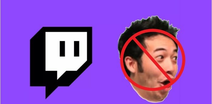 Pogchamp emote twtich