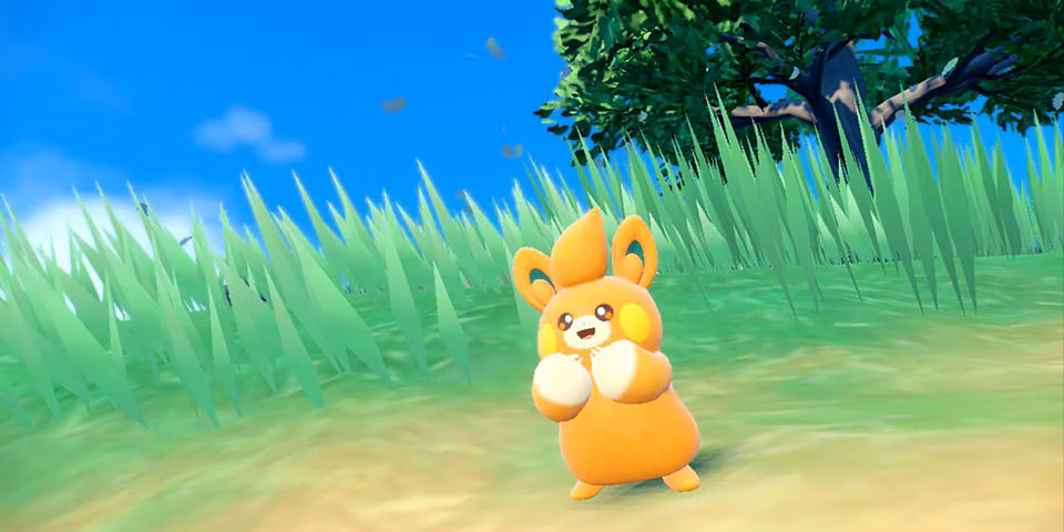 Pokemon scarlet violet pawmi