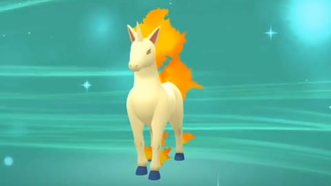 Rapidash best pokemonn