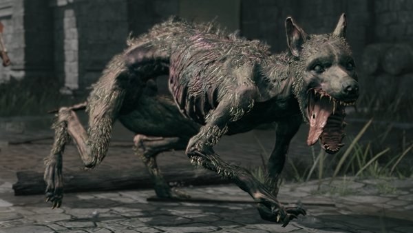 Rotten stray 2 Elden Ring