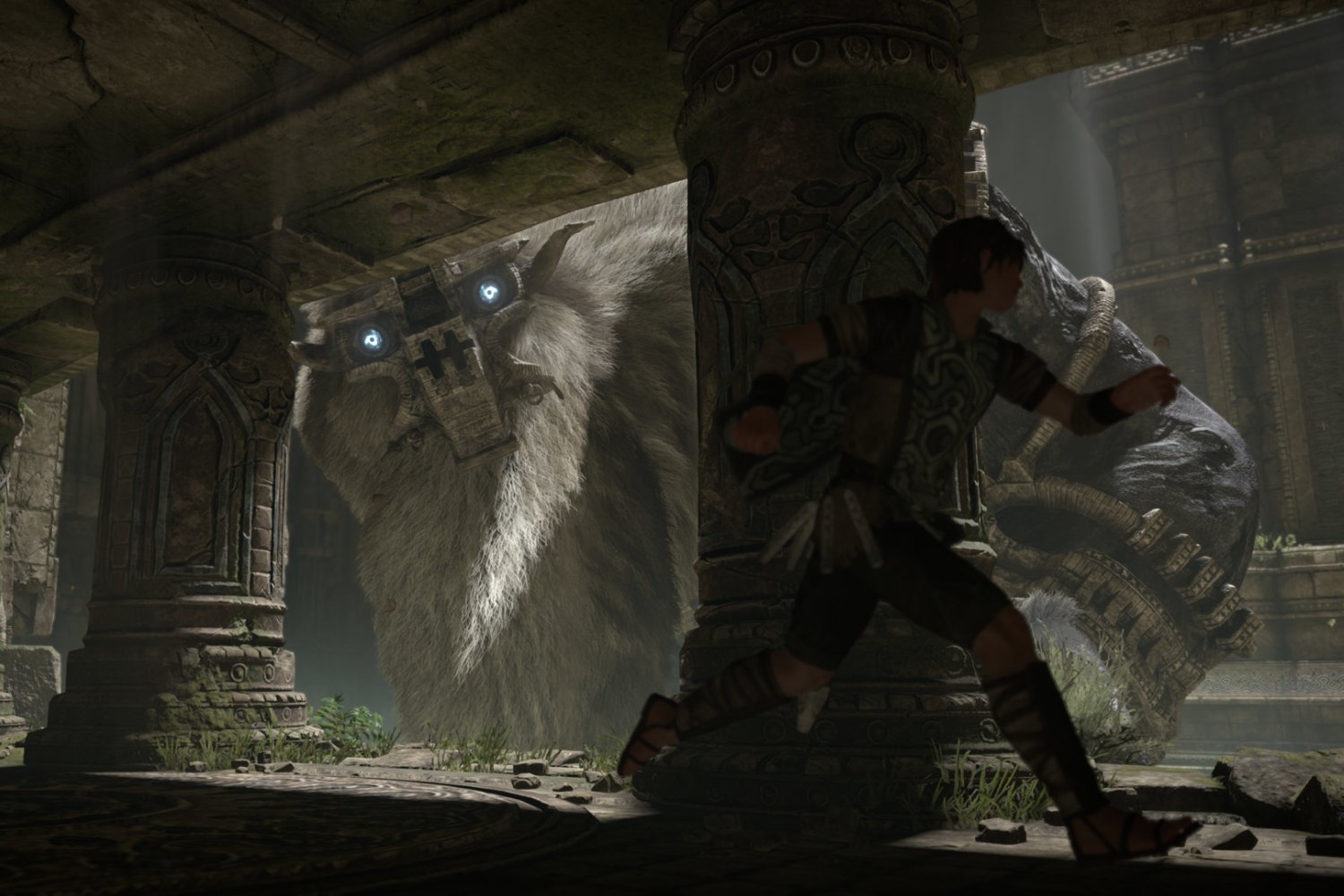Shadow of the colossus