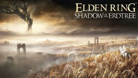 Shadow of the erdtree release DLC elden ring