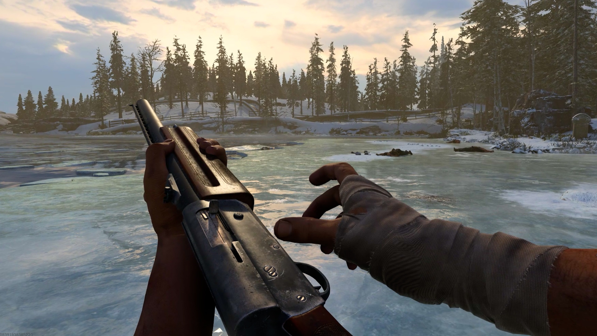 Shotgun