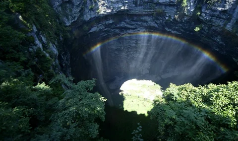 Sinkhole ancient forest new species china