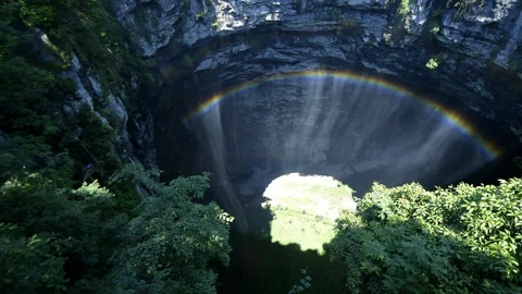 Sinkhole ancient forest new species china