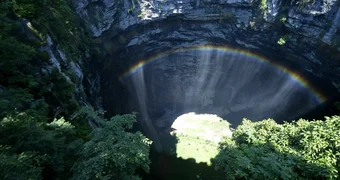 Sinkhole ancient forest new species china