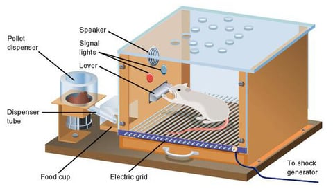 Skinner box operant conditionning chamber