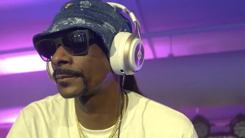 Snoop dogg twitch muted