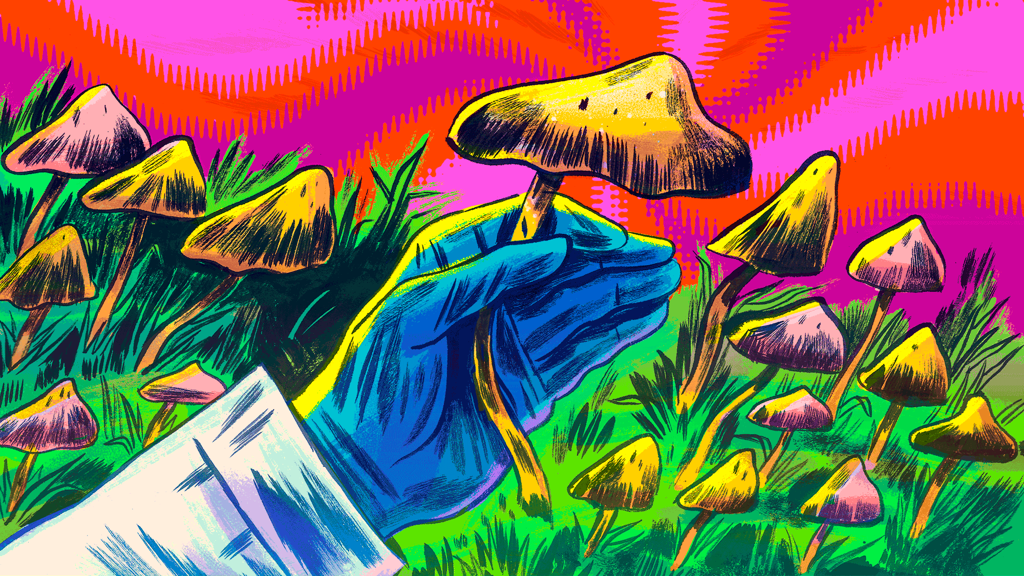 Stat mushroom colorshift
