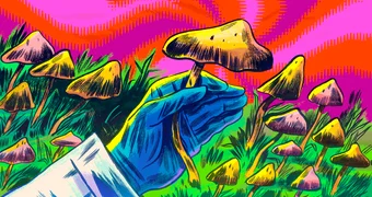Stat mushroom colorshift
