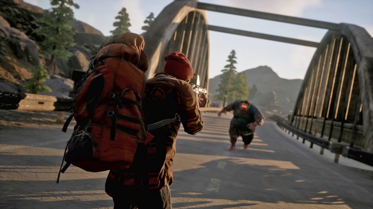 State of decay 2