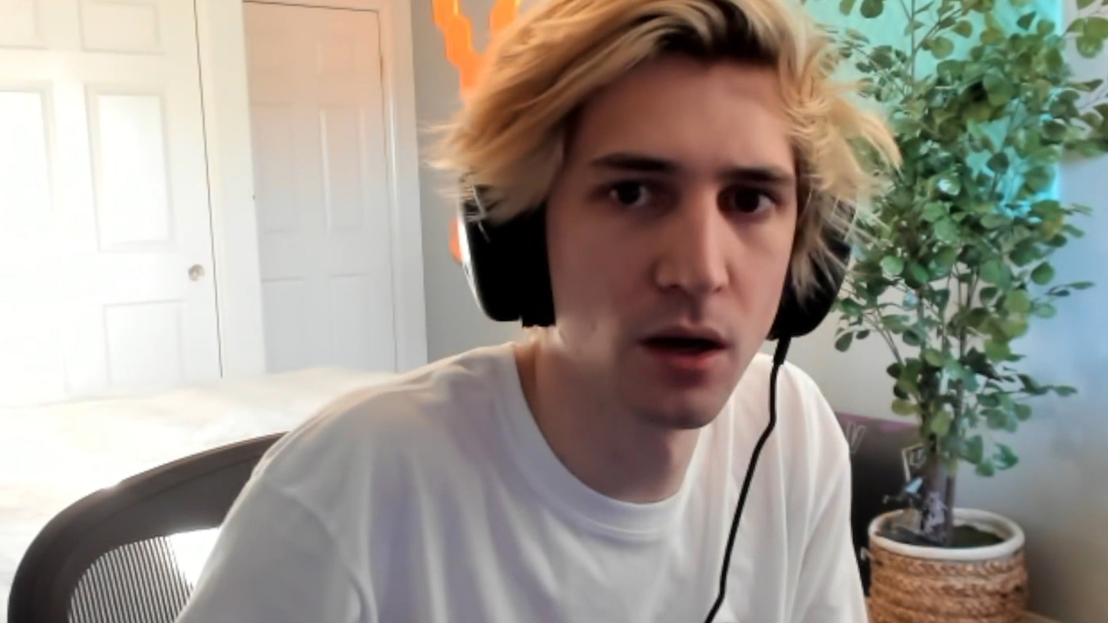 Streaming is real job says xqc theres stigma around streaming as a job its fucking harder