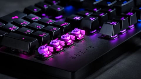 Tastatur switches