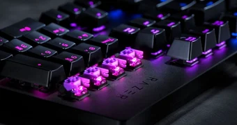 Tastatur switches