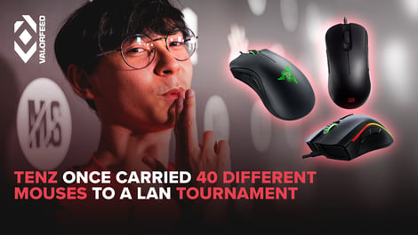 Tenz fact 2 40 mouse