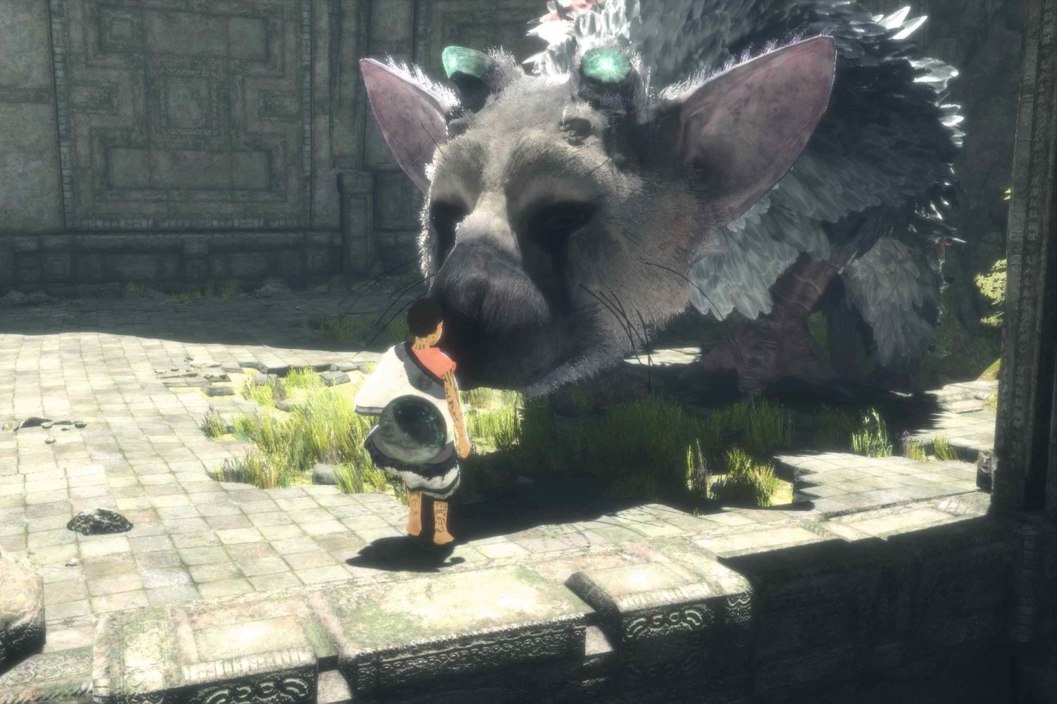The last guardian