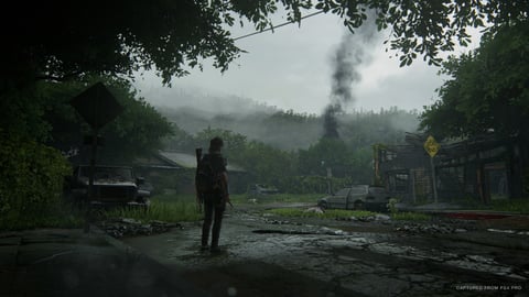 The last of us part 2