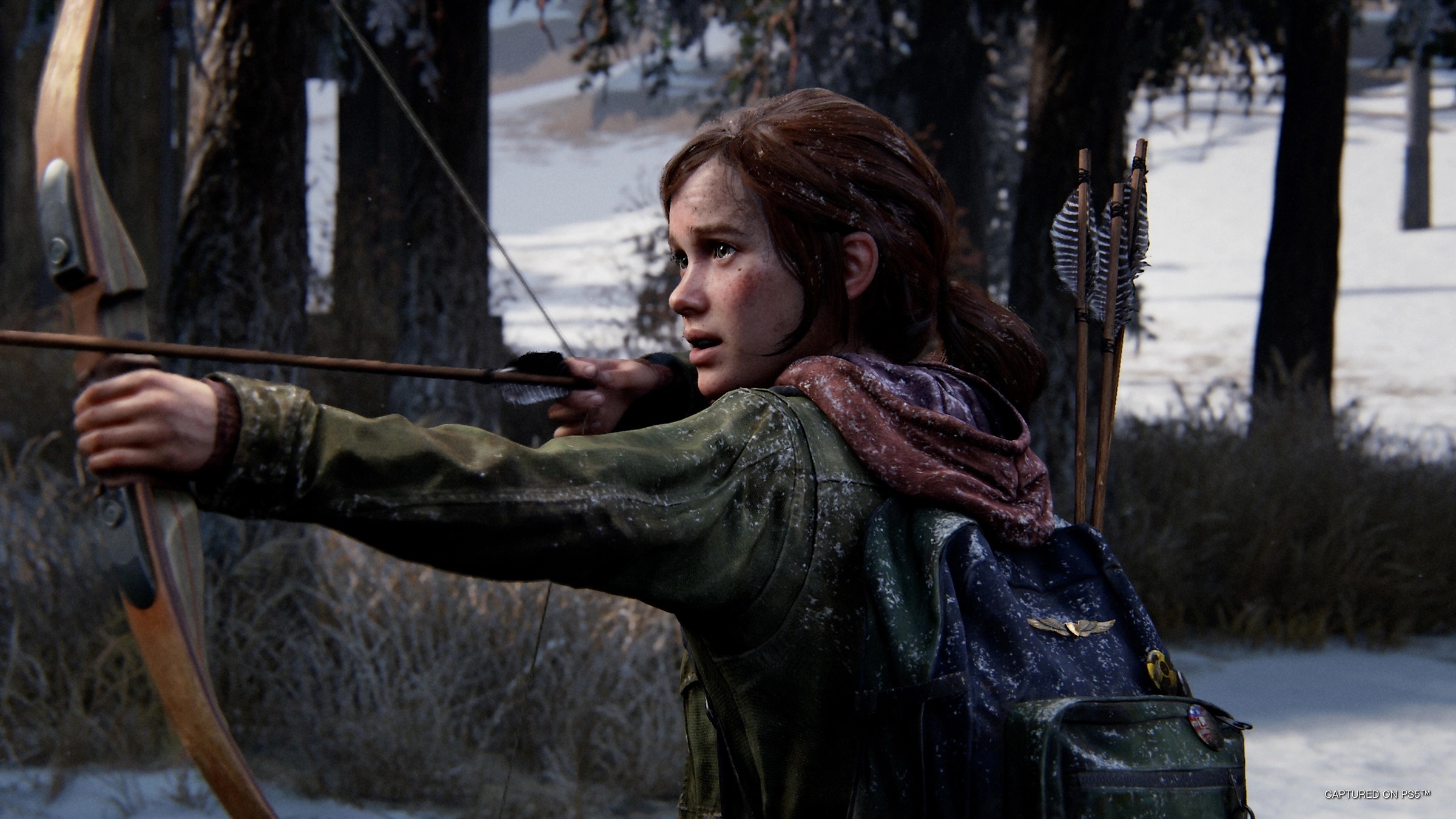The last of us pc