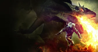 The witcher 2 dragon poster