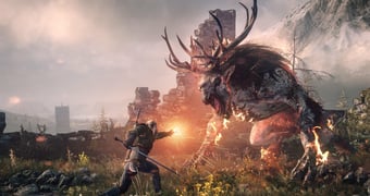 The witcher 3 column