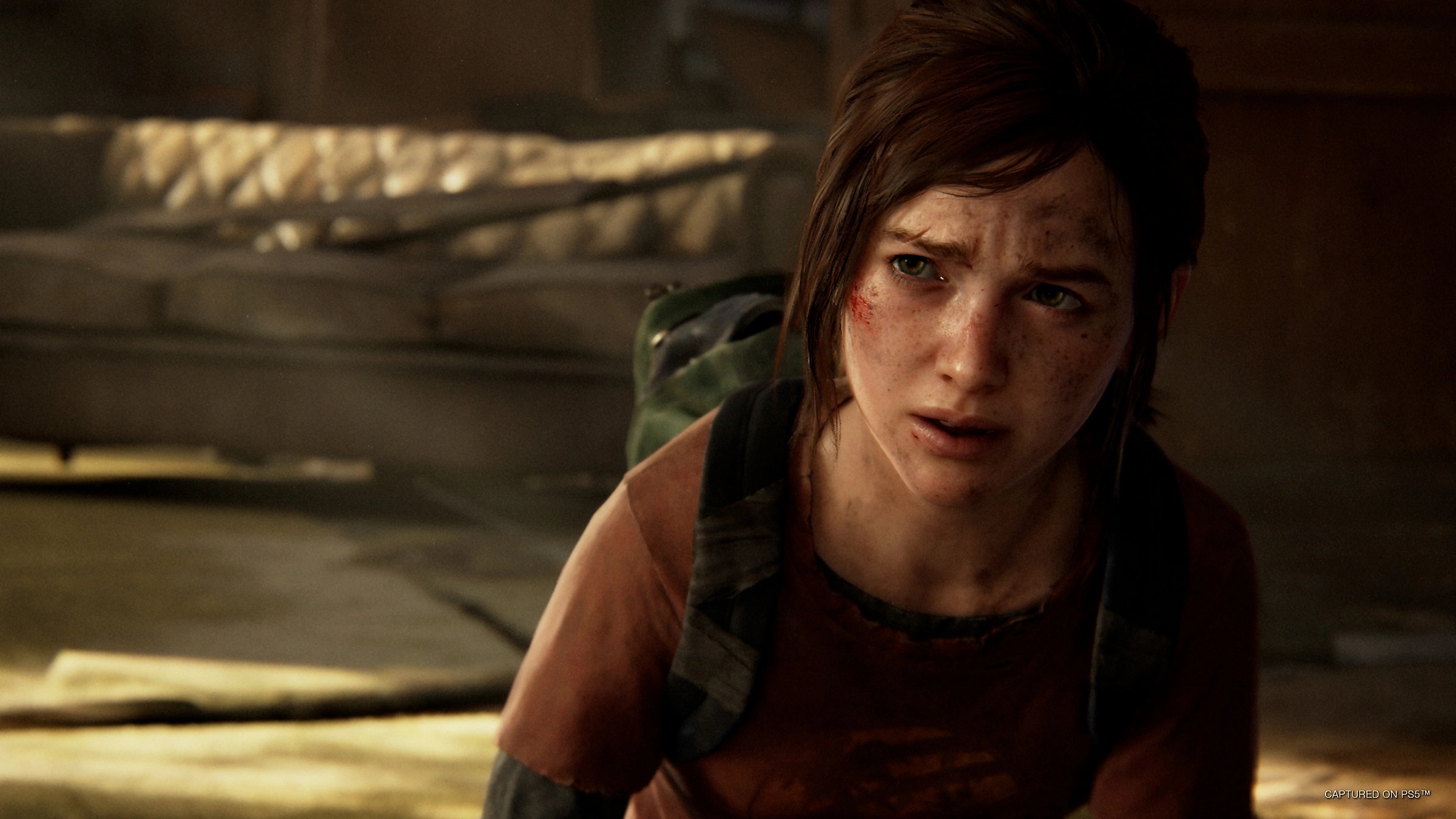 The Last of Us Remastered PC