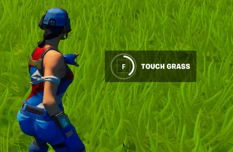 Touch grass fortnite quest
