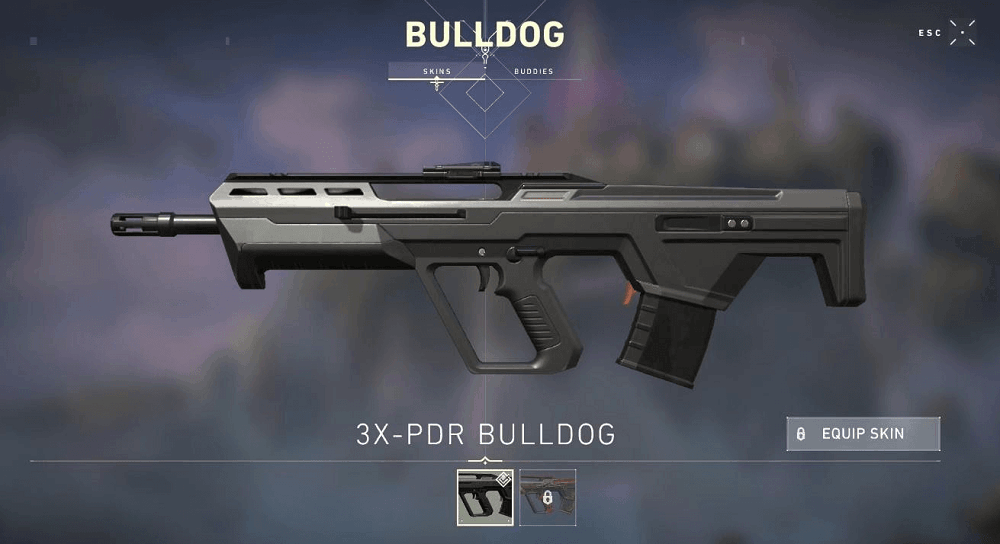 Valorant bulldog