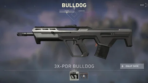 Valorant bulldog