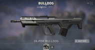 Valorant bulldog