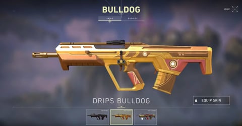 Valorant drips bulldog