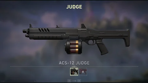 Valorant judge