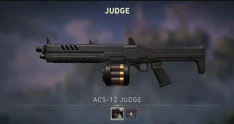 Valorant judge