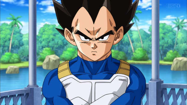 Vegeta s