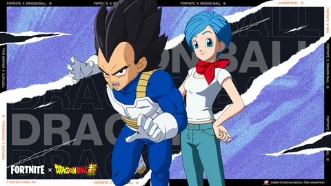 Vegeta und bulma paket