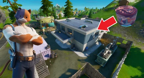 Vintage cat food catty corner fortnite