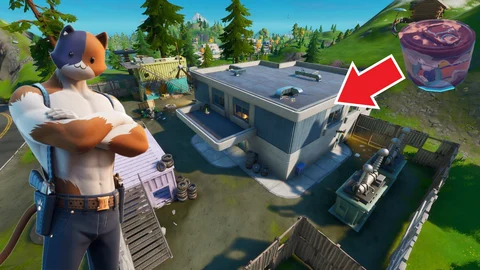 Vintage cat food catty corner fortnite