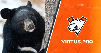 Virtus pro bear