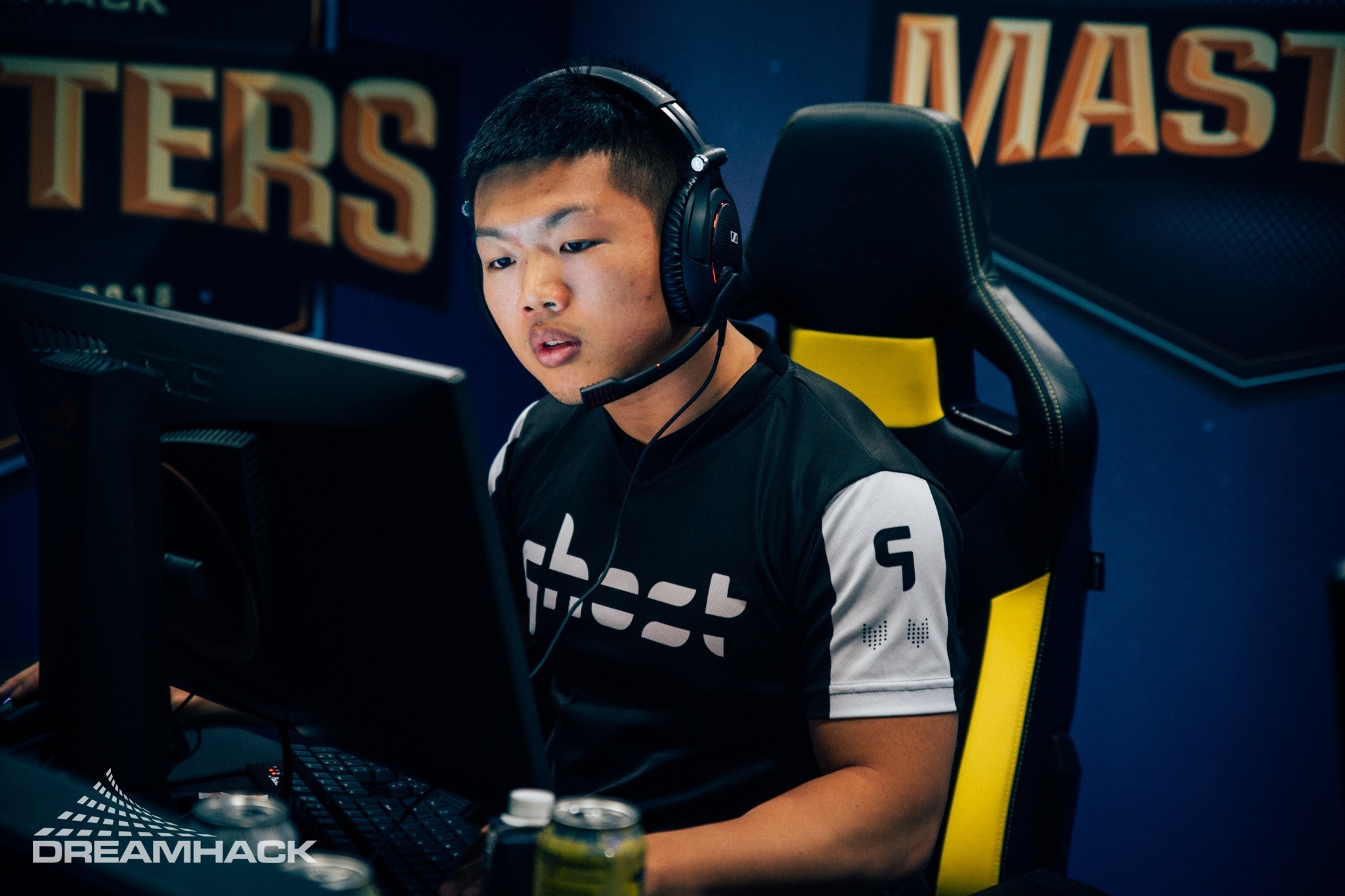 Wardell dreamhack