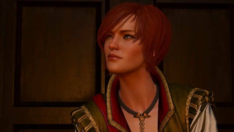 Witcher shani